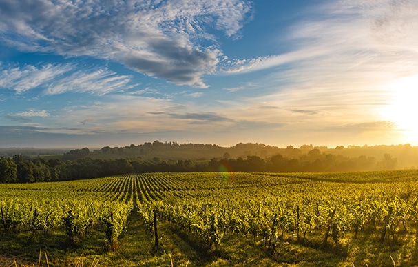Green-industries-pannelli-fotovoltaici-energie-rinnovabili