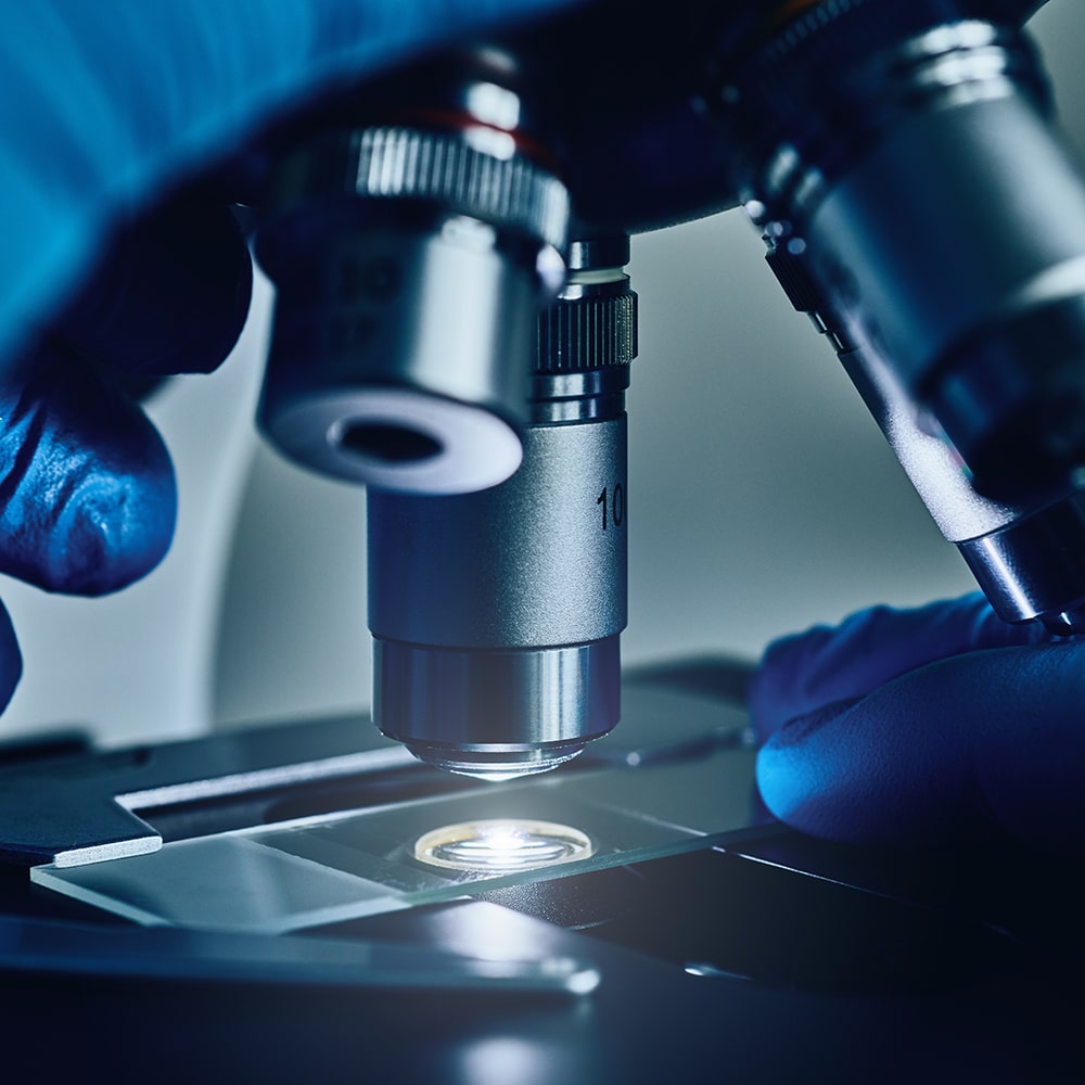 Parts-in-rubber-in-laboratory